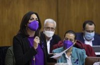 PSOE-A afea a Moreno que su "socio preferente" Vox impida una declaración institucional en el Parlamento por el 25N