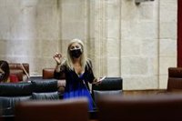 Del Pozo: Los fondos extra a Barcelona convierten a la cultura "en un precio a pagar a los independentistas"