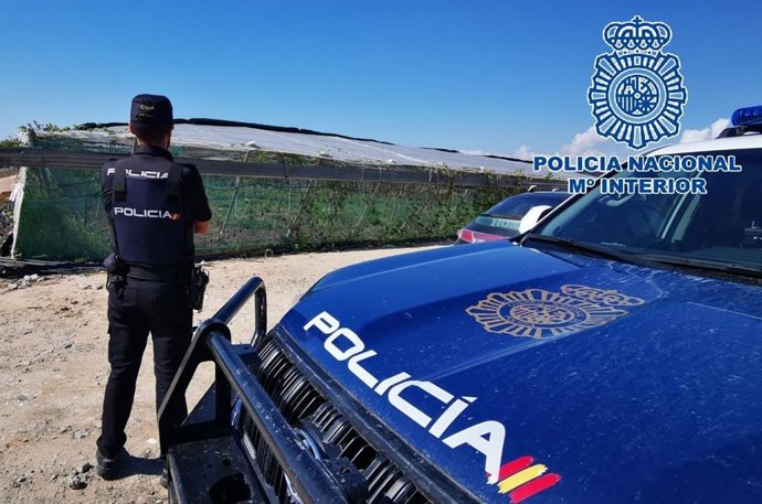Un agente de la Policía frente a la plantación de marihuana.