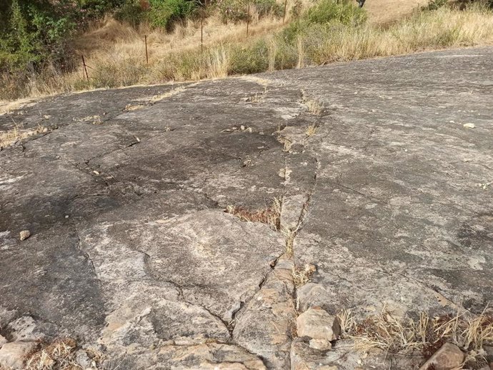 Yacimiento de huellas fósiles de medusas del periodo Cámbrico en Constantina