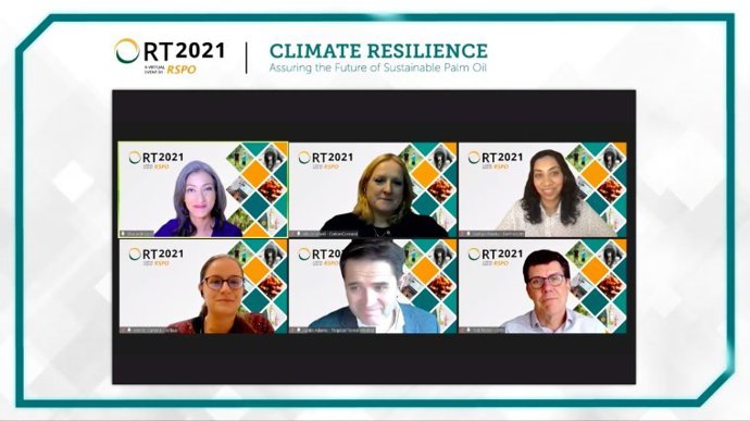 Industry experts from Airbus, CottonConnect, Earthworm Foundation, Tropical Forest Alliance and World Resources Institute called for collaborative action across supply chains during RSPOs 2021 roundtable conference.