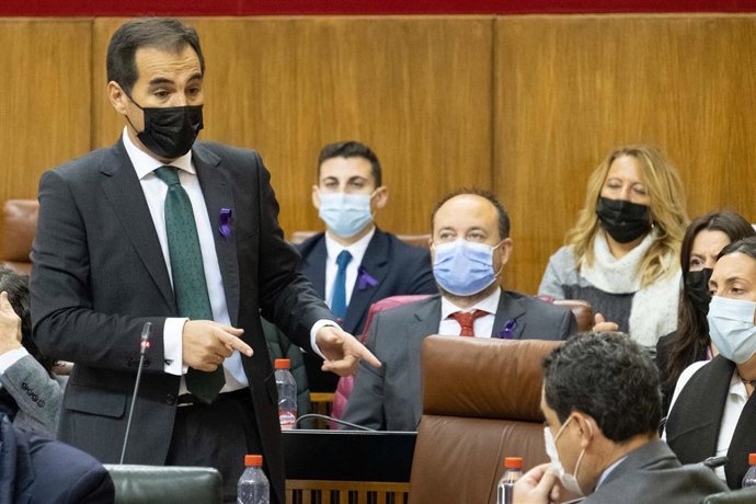 José Antonio Nieto, en la sesión de control al Gobierno en el Parlamento.