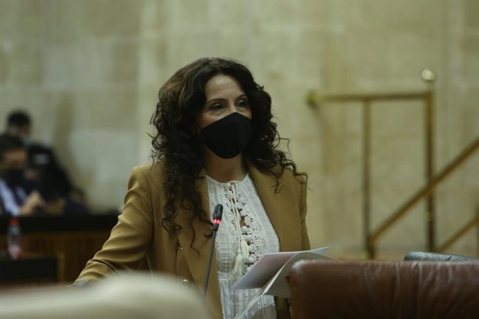 La consejera de Igualdad, Conciliación y Políticas Sociales, Rocío Ruiz, en el Parlamento, en foto de archivo.