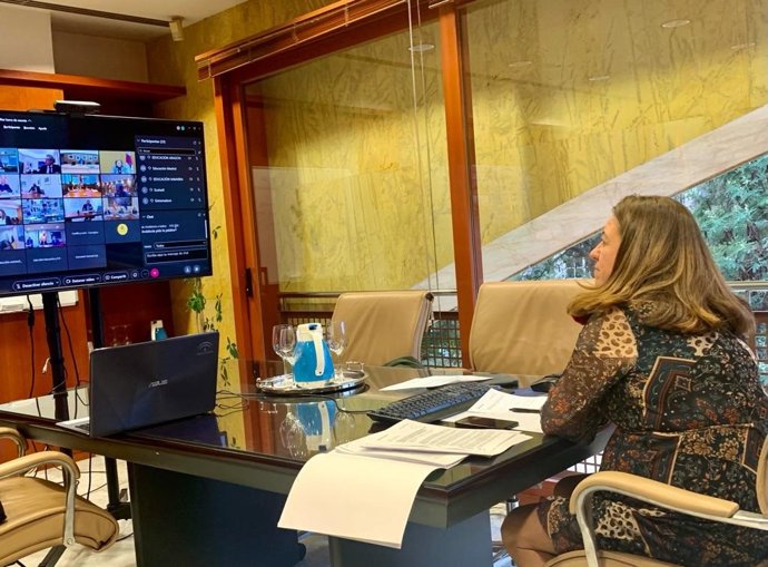 La viceconsejera de Educación y Deporte, María del Carmen Castillo, participa en la reunión de la Conferencia Sectorial