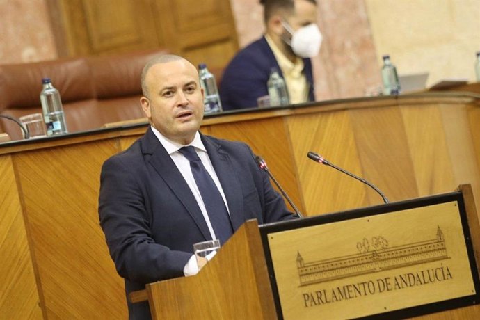 Archivo - El portavoz adjunto de Cs en el Parlamento de Andalucía, Julio Díaz, en una imagen de archivo.