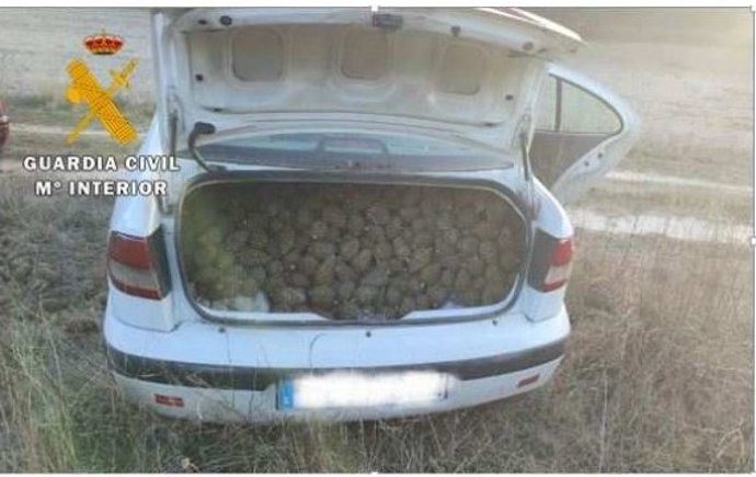 Imagen de uno de los coches con las piñas sustraídas en Portillo