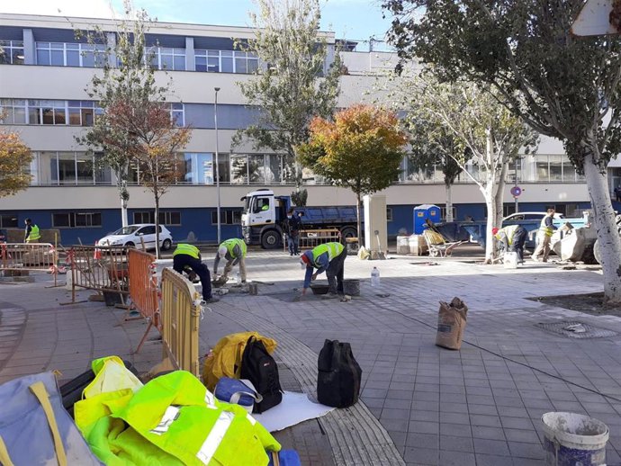 Ejecución de obras para hacer realidad el proyecto de Son Dameto Verd.