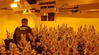 Desarticulados cinco centros de producción de marihuana en Santa Fe (Granada)