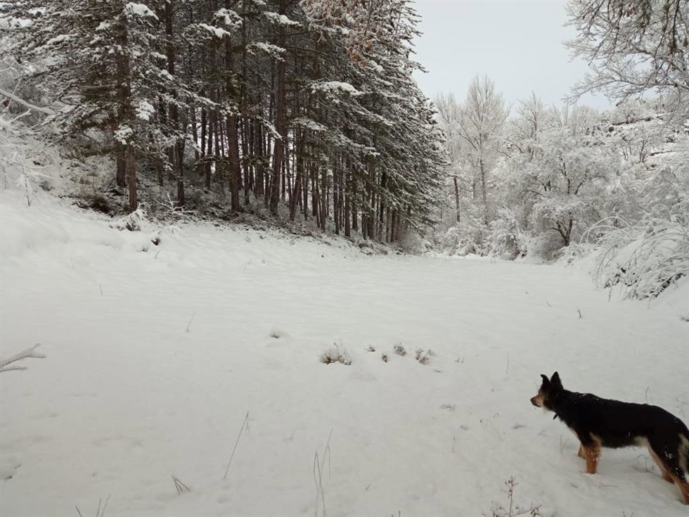 Archivo - Imagen de nieve en Euskadi