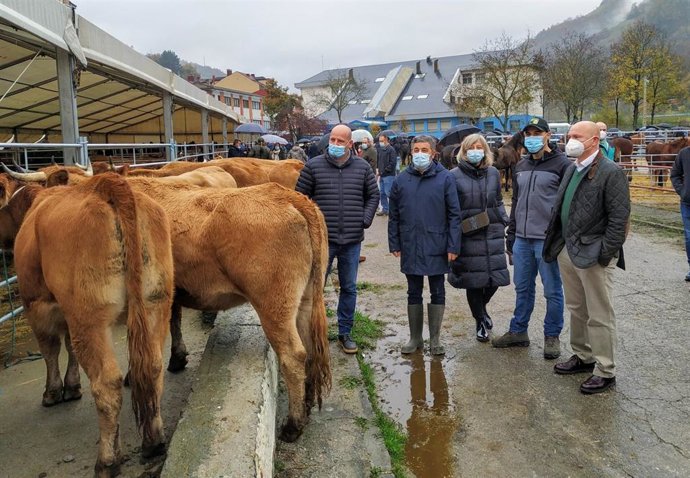 El consejero de Medio Rural y Cohesión Territorial, Alejandro Calvo, en su visita a la feria ganadera El Mercaón, en Cabañaquinta, concejo de Aller.