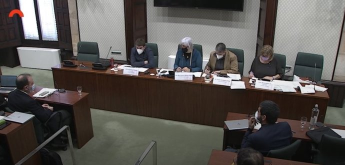 Imagen general de la comisión