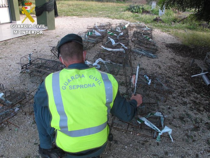 La Guardia Civil investiga a una persona que se dedicaba a la captura ilegal de especies silvestres en la comarca de La Vall d'Albaida