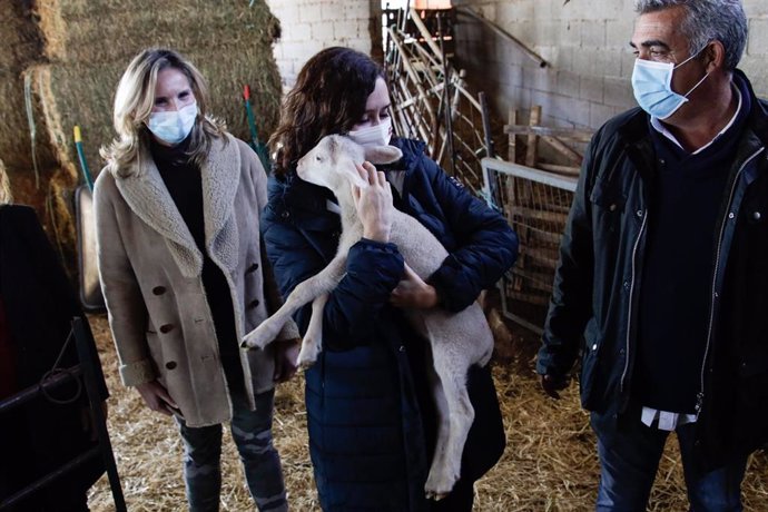 La presidenta de la Comunidad de Madrid, Isabel Díaz Ayuso, abraza a carnero durante una visita a una explotación de ganado ovino y quesería para mostrar su apoyo al sector, a 26 de noviembre de 2021, en Colmenar Viejo, Madrid, (España). El Ejecutivo au
