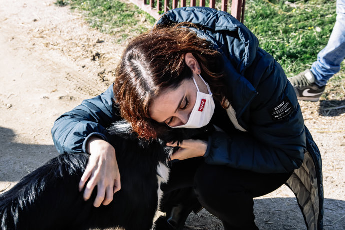 La presidenta de la Comunidad de Madrid, Isabel Díaz Ayuso