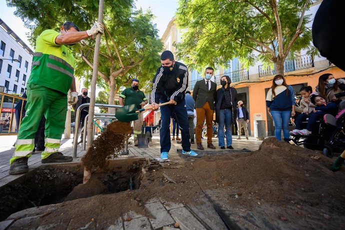 Plantación de árboles en la Puerta de Purchena de Almería.