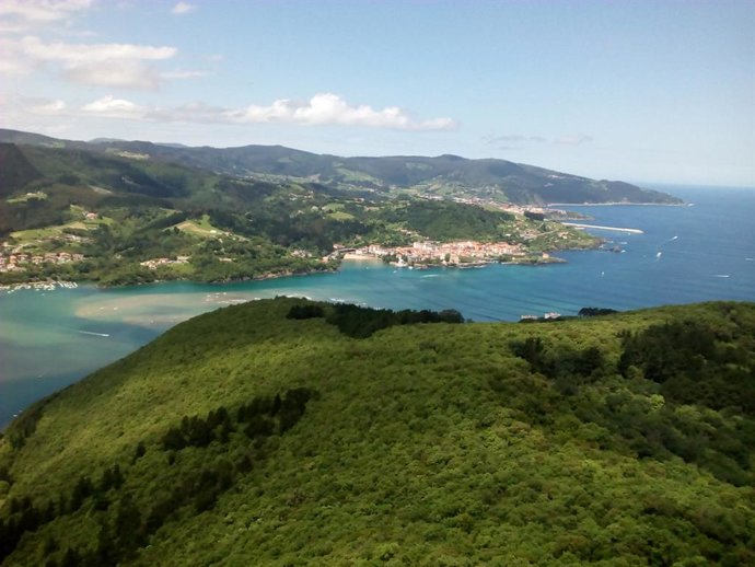 Archivo - Urdaibai (Bizkaia)