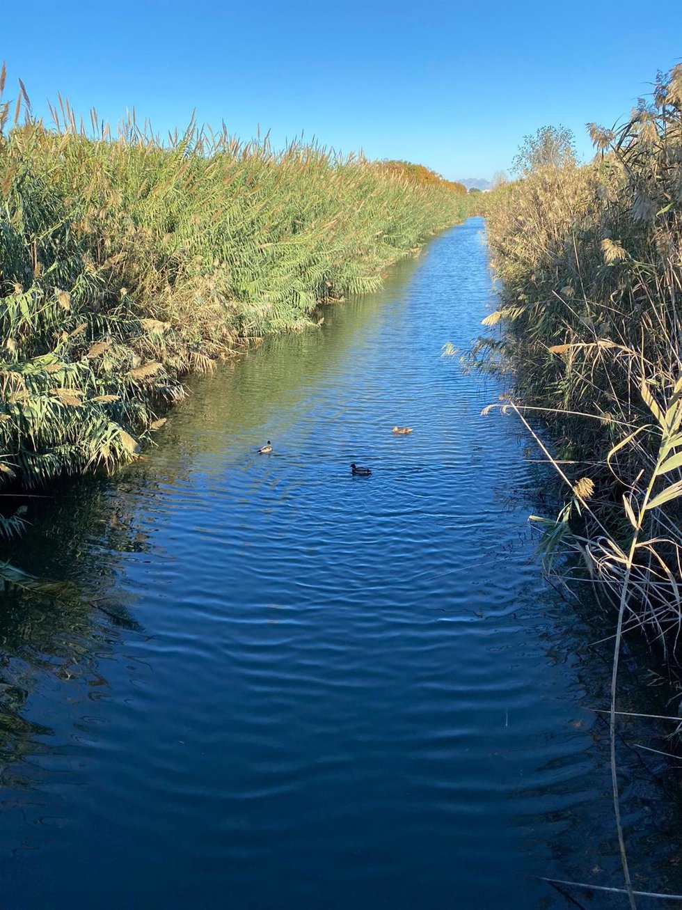 El AMB y el Prat de Llobregat (Barcelona) suministran agua regenerada al Canal de la Bunyola.