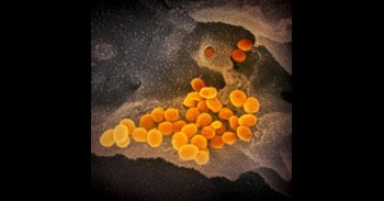 La OMS nombra Omicron a la nueva variante y advierte de un posible "mayor riesgo de reinfección"