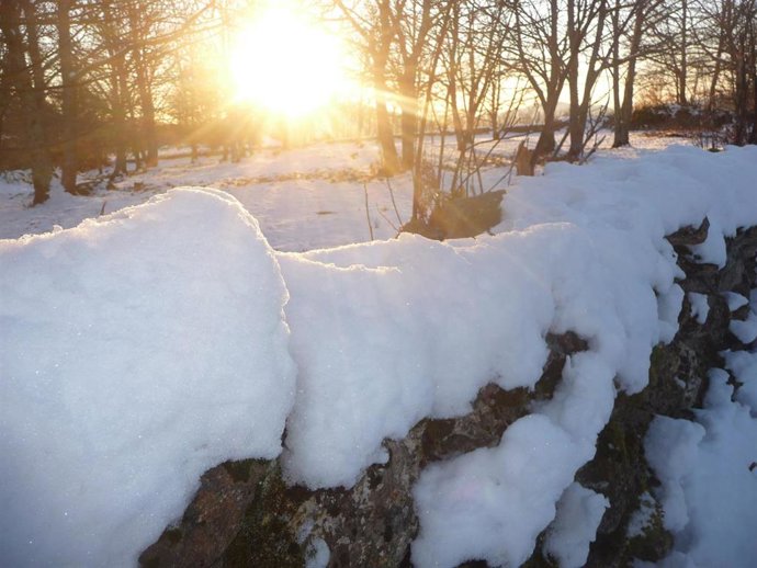 Archivo - Campo nevado