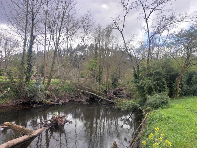 Archivo - Árboles caídos en el Río Linares, en Villaviciosa.