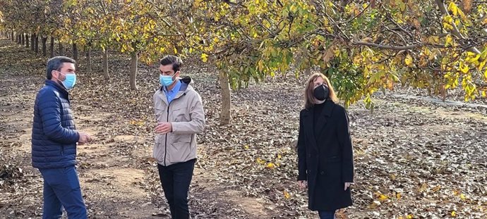 El consejero Antonio Luengo, durante su visita a una finca de nogales de la empresa Castillo de Luzón, en Jumilla