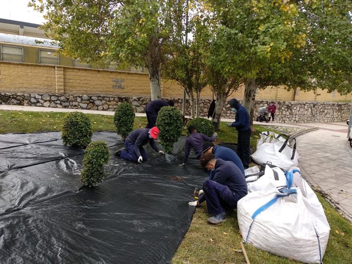 Prácticas en jardinería en Jaén