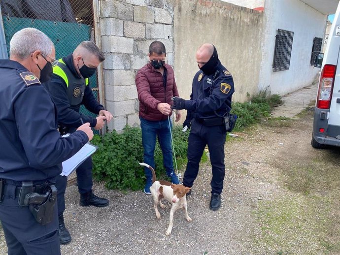 Los agentes de la Policía Local de Xtiva intervienen en una propiedad privada para llevarse a 39 perros que se encontraban en condiciones insalubres
