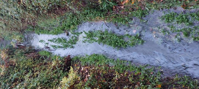 Ecologistas en Acción informa de "un nuevo vertido de hidrocarburos, en el Polígono de la Portalada II de Logroño"