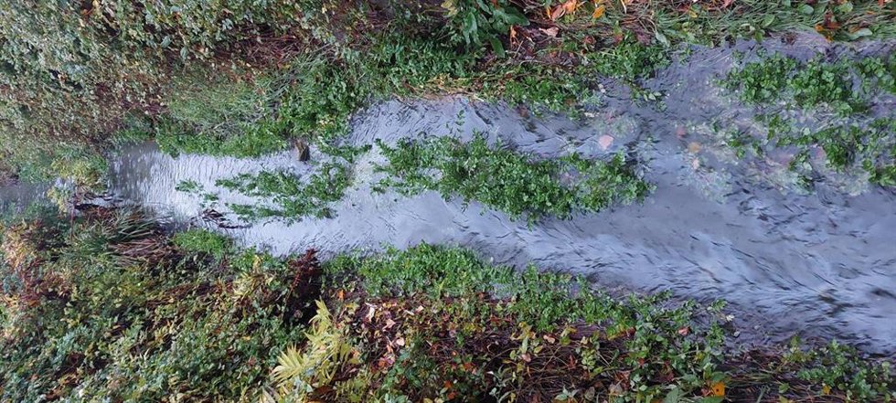 Ecologistas en Acción informa de "un nuevo vertido de hidrocarburos, en el Polígono de la Portalada II de Logroño"