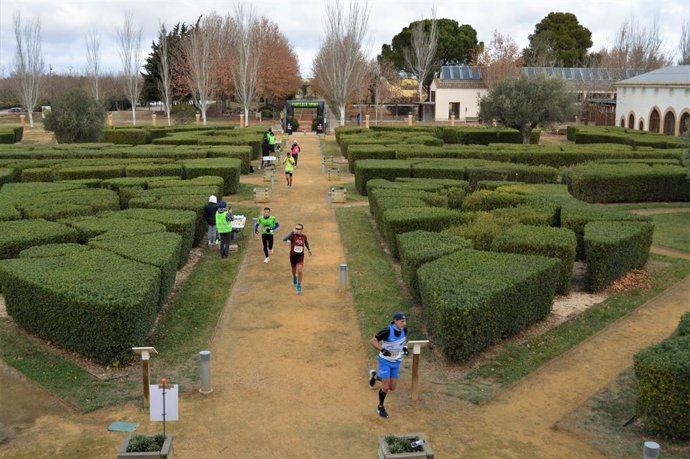 Más de mil corredores participan en la V edición del Gran Premio La Cartuja-Movera-La Alfranca.