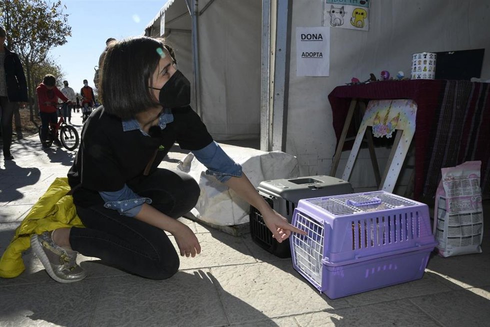 La concejala de Sostenibilidad Ambiental, Margarita Cobos, junto a una mascota