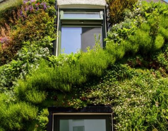 El Sustainability Hub de la Universidad de Plymouth se ha modernizado con una fachada exterior de pared viva, compuesta por un sistema de láminas de tela de fieltro flexible con oquedades que permiten el suelo y la siembra.