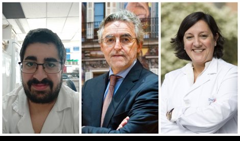 Investigación