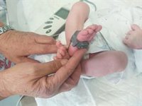 El ADN confirma el intercambio de dos bebés en el Hospital San Millán de Logroño en el año 2002