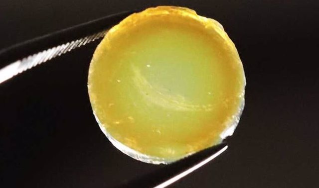 Pinzas que sostienen un aerogel en forma de tableta compuesto de nanopartículas de TiO2 dopadas con paladio y nitrógeno.