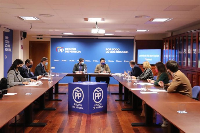 Reunión del Comité de Dirección del PPRM