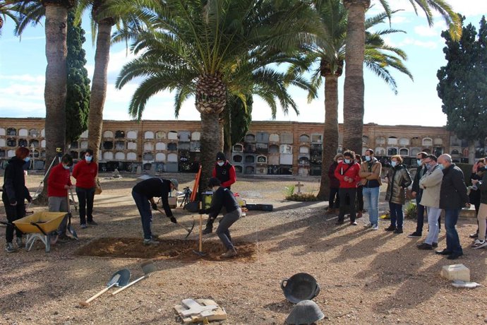 Apertura de fosas en Llíria