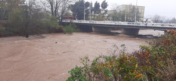 Río Besaya a su paso por Torrelavega