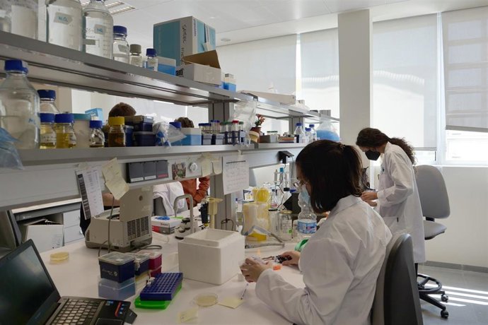 Archivo - Investigadores UMA