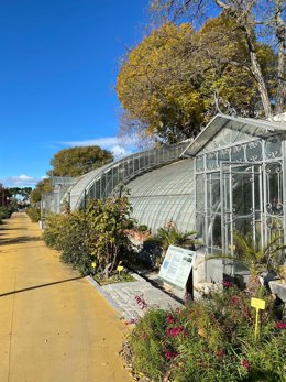 Una veintena de invernaderos del siglo XIX sobrevive en el Retiro