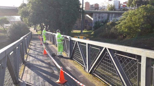 Trabajos de reparación de la pasarela peatonal sobre la carretera San Juan-Mairena, en Sevilla.