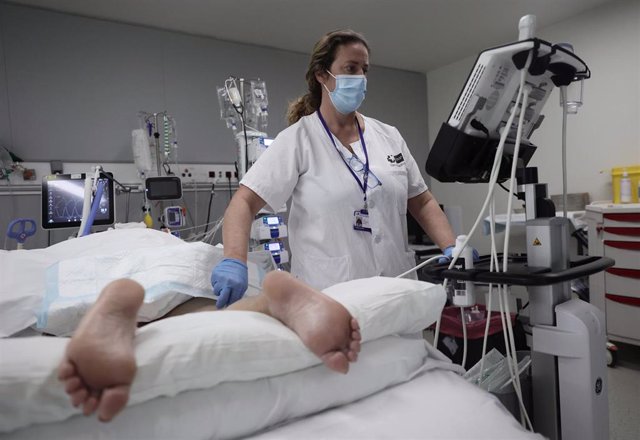 Una enfermera le busca posibles trombos a una paciente en la UCI del Hospital Enfermera Isabel Zendal