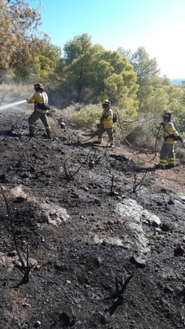 Bomberos trabajando en la zona del incendio en Nerja