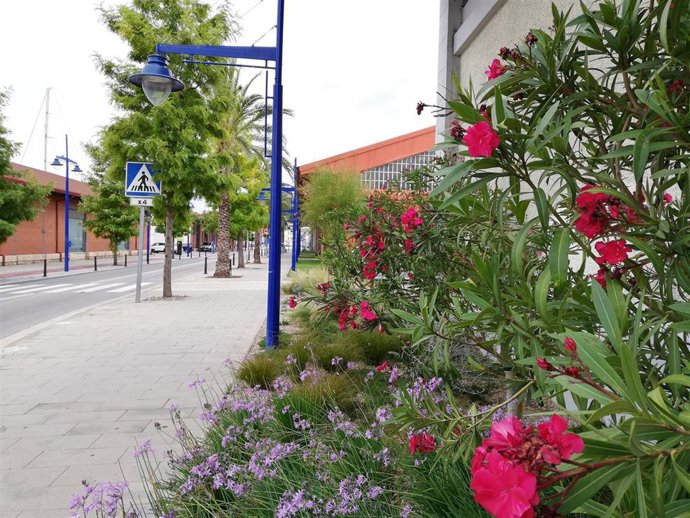 Punto de luz en el Moll de Costa del Port de Tarragona.