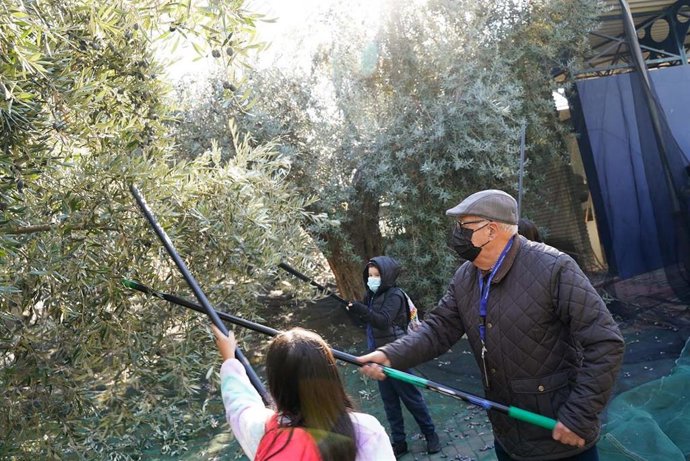 Actividad en la Almazara del Parque de las Ciencias