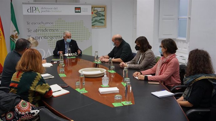 Representantes de la Coordinadora Andaluza de ONGD, CCOO, organizaciones vinculadas a agencias de Naciones Unidas y de Famsi se reúnen con Jesús Maeztu.