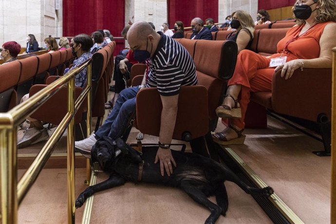 Archivo - Personas con discapacidad y sus perros de asistencia acuden al debate de la totalidad del proyecto de Ley por la que se regulan los perros de asistencia a personas con discapacidad en Andalucía (Foto de archivo).