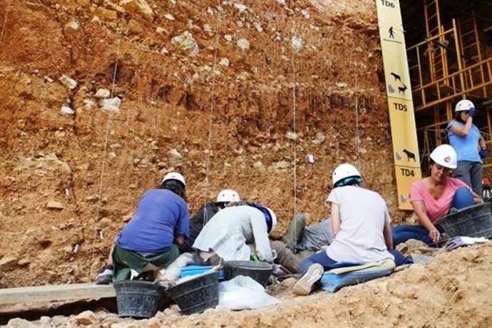 Archivo - Investigadores del CENIEH trabajando en una excavación