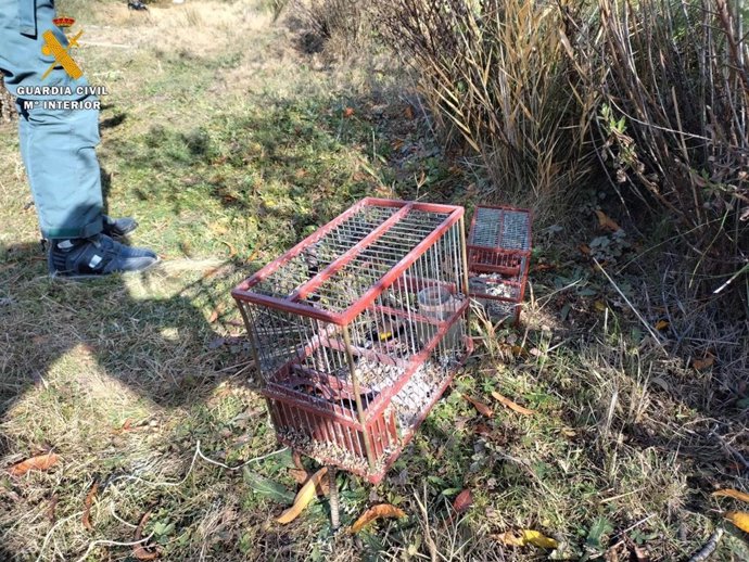 Una de las jaulas incautadas por la Guardia Civil a un hombre investigado por caza furtiva de jilgueros.