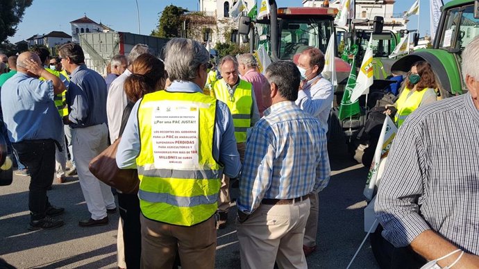 Archivo - Protesta del sector agrario andaluz en Sevilla por la PAC